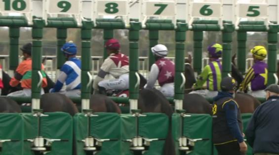 View video › View video ›