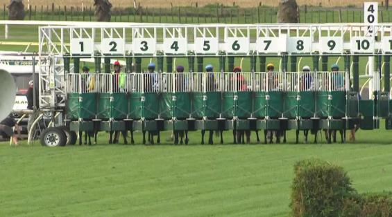 View video › View video ›