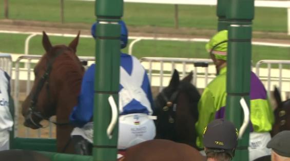 View video › View video ›