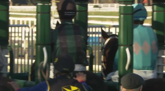 View video › View video ›