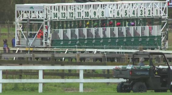 View video › View video ›