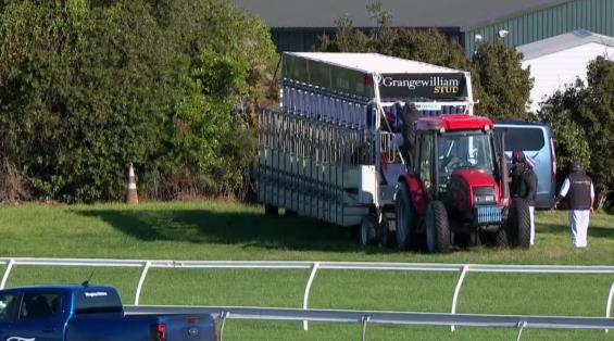 View video › View video ›