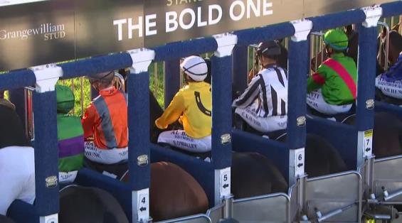 View video › View video ›