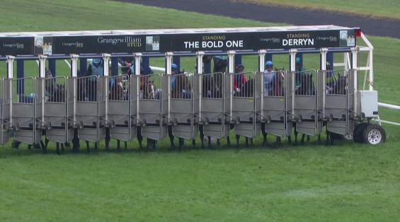 View video › View video ›