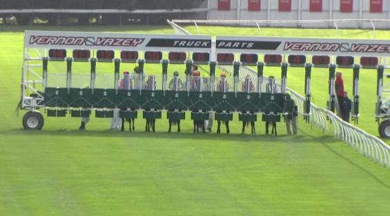 View video › View video ›