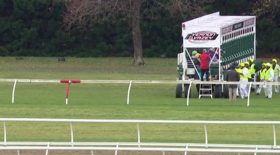 View video › View video ›