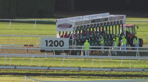 View video › View video ›