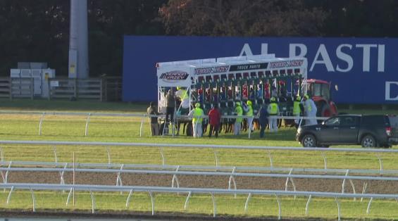 View video › View video ›