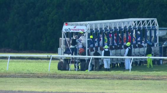 View video › View video ›