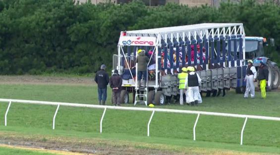 View video › View video ›