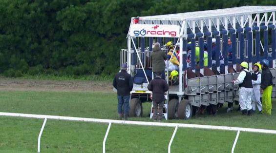 View video › View video ›