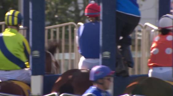 View video › View video ›