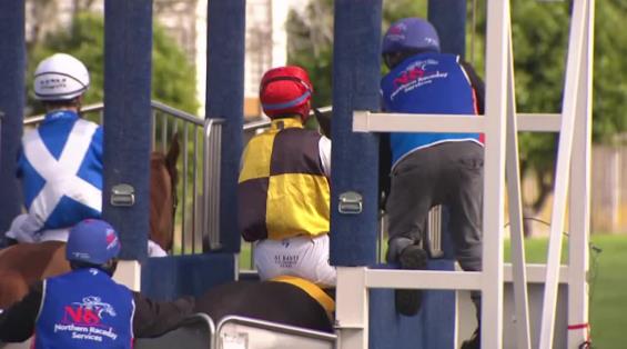 View video › View video ›