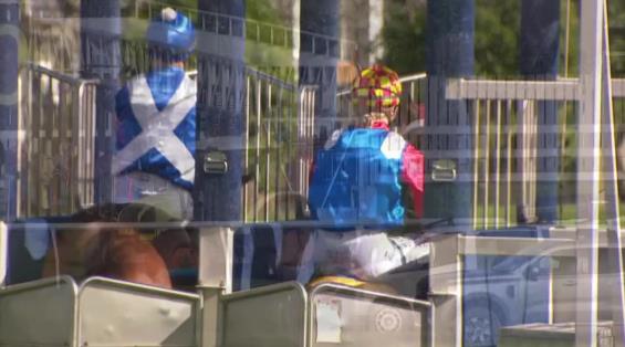 View video › View video ›