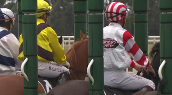 View video › View video ›