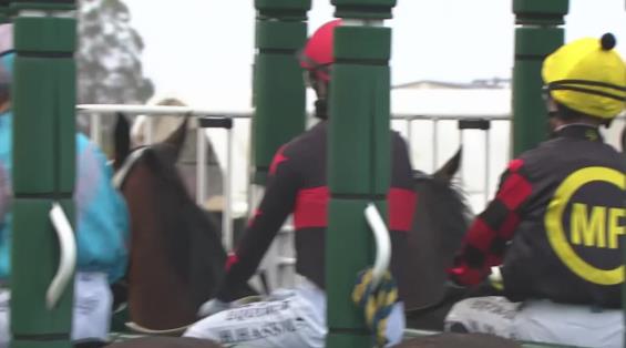 View video › View video ›