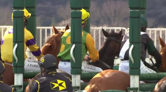 View video › View video ›