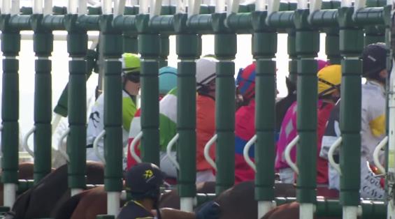 View video › View video ›