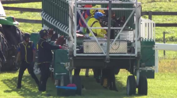 View video › View video ›