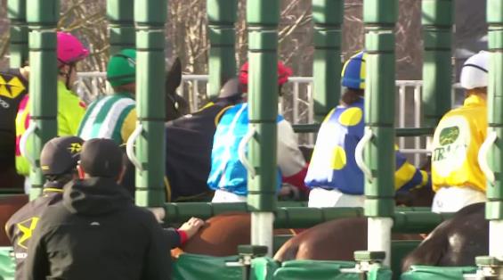 View video › View video ›