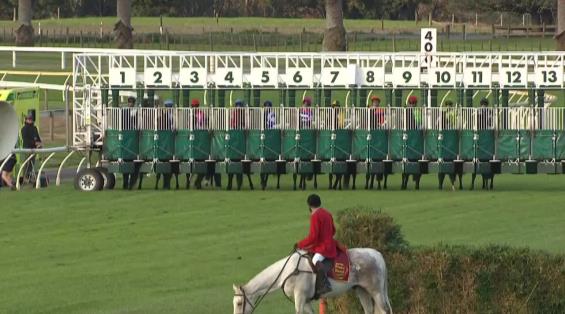 View video › View video ›