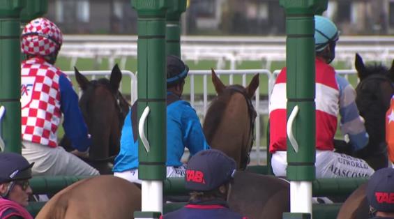 View video › View video ›