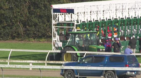 View video › View video ›