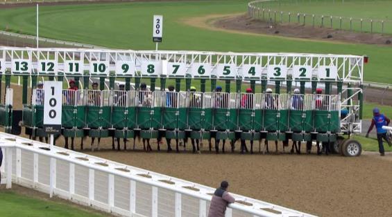 View video › View video ›