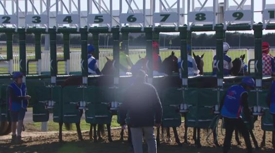 View video › View video ›