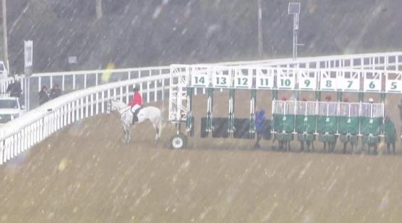 View video › View video ›