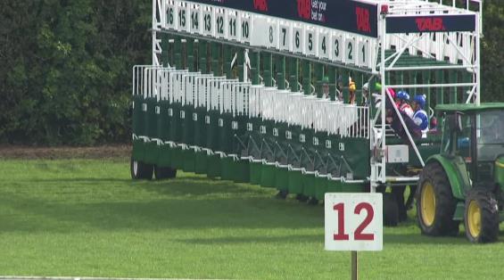 View video › View video ›