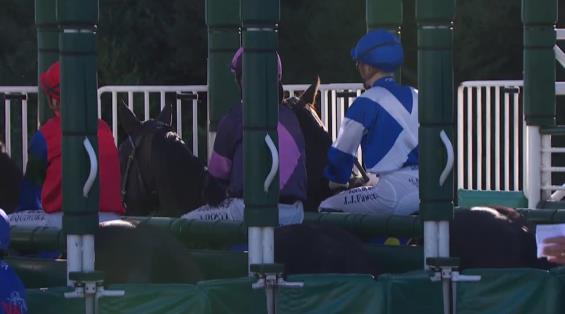 View video › View video ›