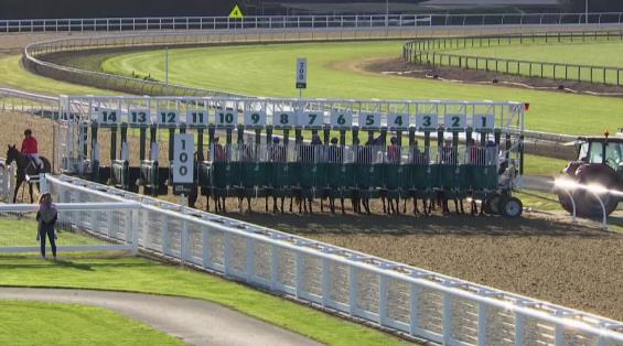 View video › View video ›