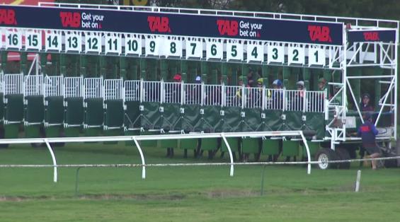 View video › View video ›