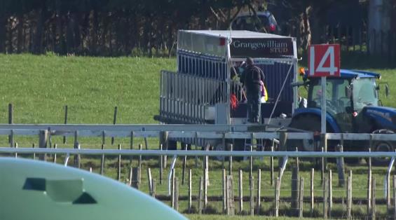 View video › View video ›