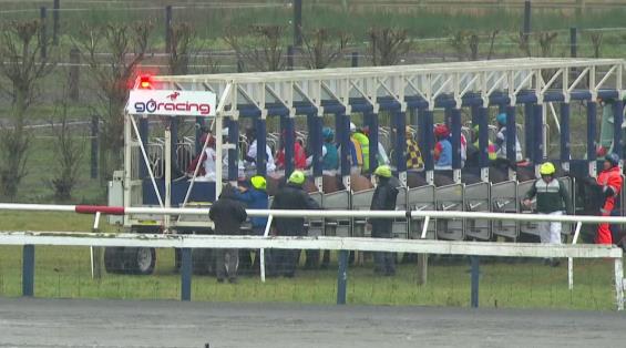 View video › View video ›