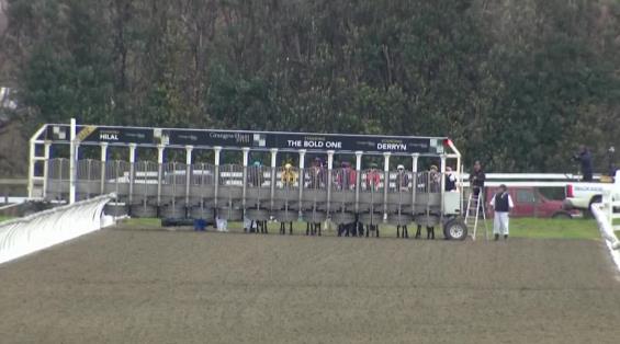 View video › View video ›