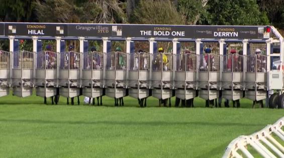 View video › View video ›