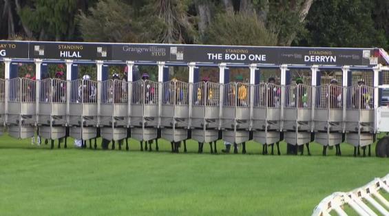 View video › View video ›