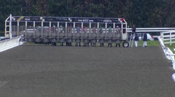 View video › View video ›