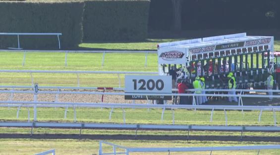 View video › View video ›