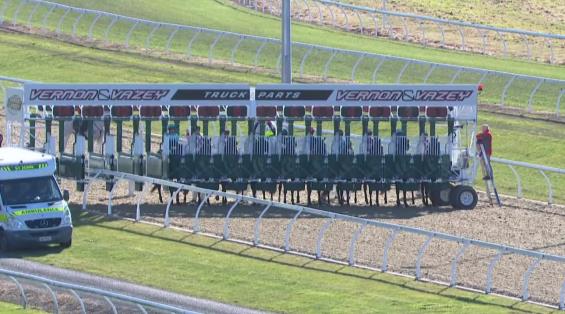 View video › View video ›