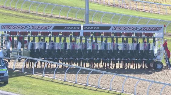 View video › View video ›