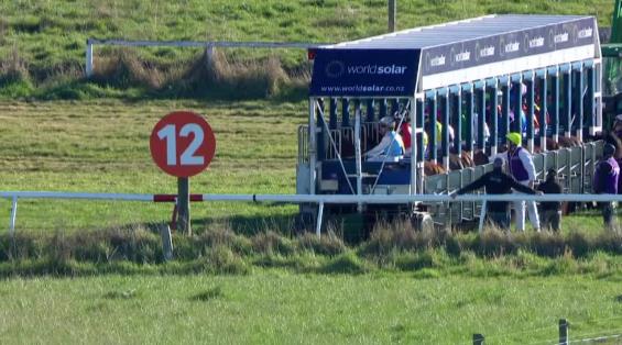 View video › View video ›