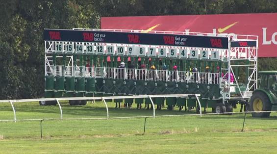 View video › View video ›