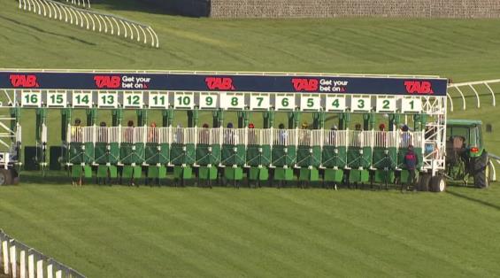 View video › View video ›