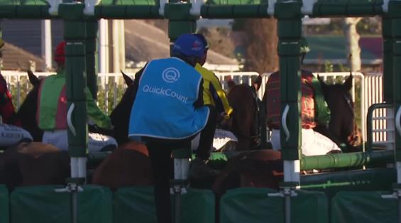 View video › View video ›