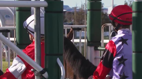 View video › View video ›