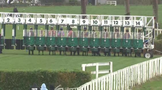 View video › View video ›