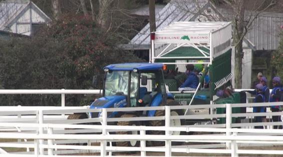 View video › View video ›